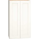 Wall Cabinet with Double Doors in Spectra Snow