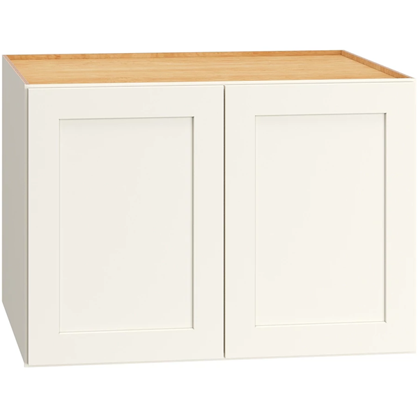 30″ x 21″ x 24″ Double Door Wall Cabinet in Omni