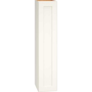 Wall Cabinet with Single Door in Omni Snow